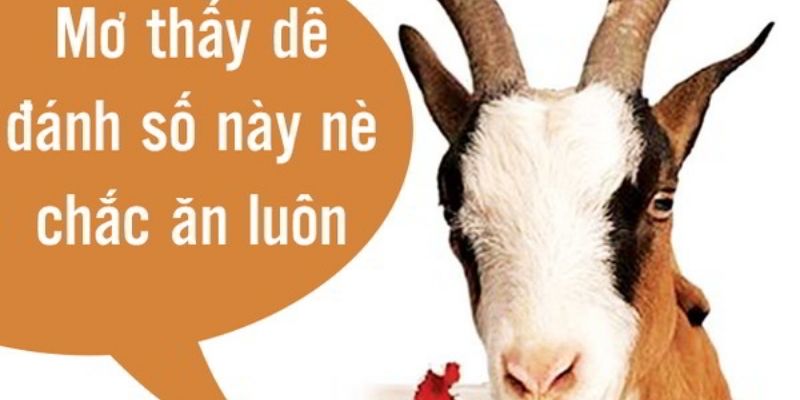 Cùng Jun88 đi tìm câu trả lời cho giấc mơ thấy dê 6 mo thay de2